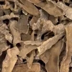 عود زاويةفيتنامي تربل سوبر